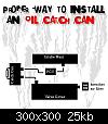 Click image for larger version

Name:	installCC.jpg
Views:	236
Size:	24.5 KB
ID:	7214