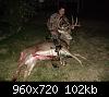 Click image for larger version

Name:	buck2.jpg
Views:	735
Size:	102.0 KB
ID:	12933