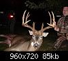 Click image for larger version

Name:	buck1.jpg
Views:	763
Size:	85.4 KB
ID:	12932