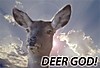 deergod.jpg