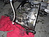 SDC10358.JPG