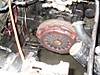 SDC10360.JPG