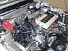 SDC11204.JPG