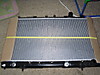 SDC11229.JPG