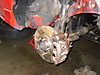 SDC11232.JPG